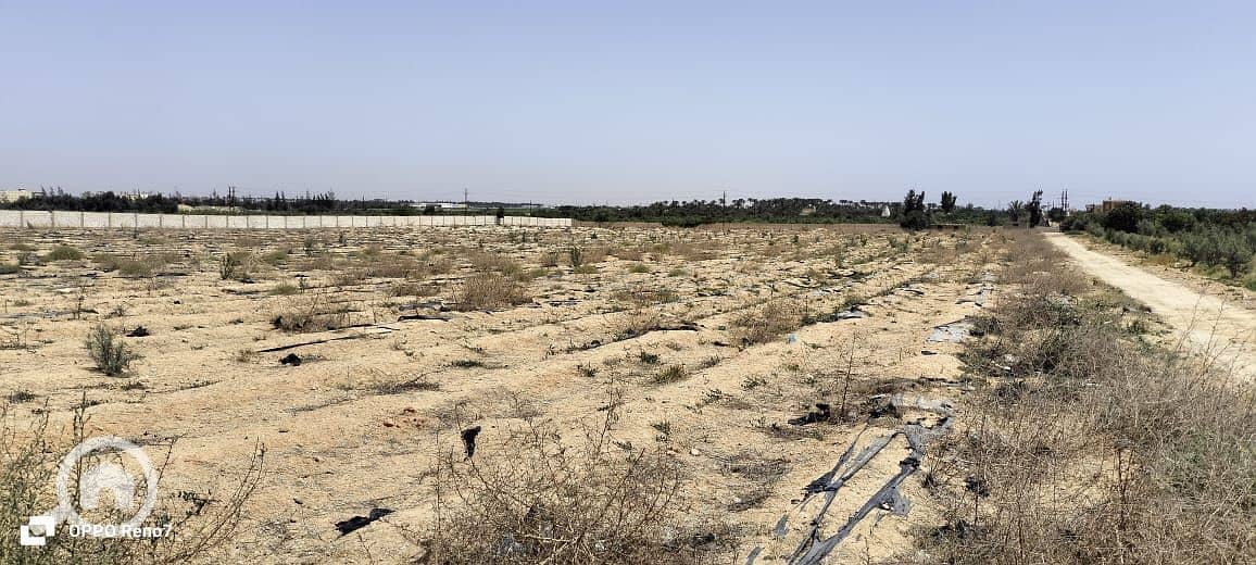 4 WhatsApp Image 2025-10-16 at 22.12. 05_402d74af. jpg