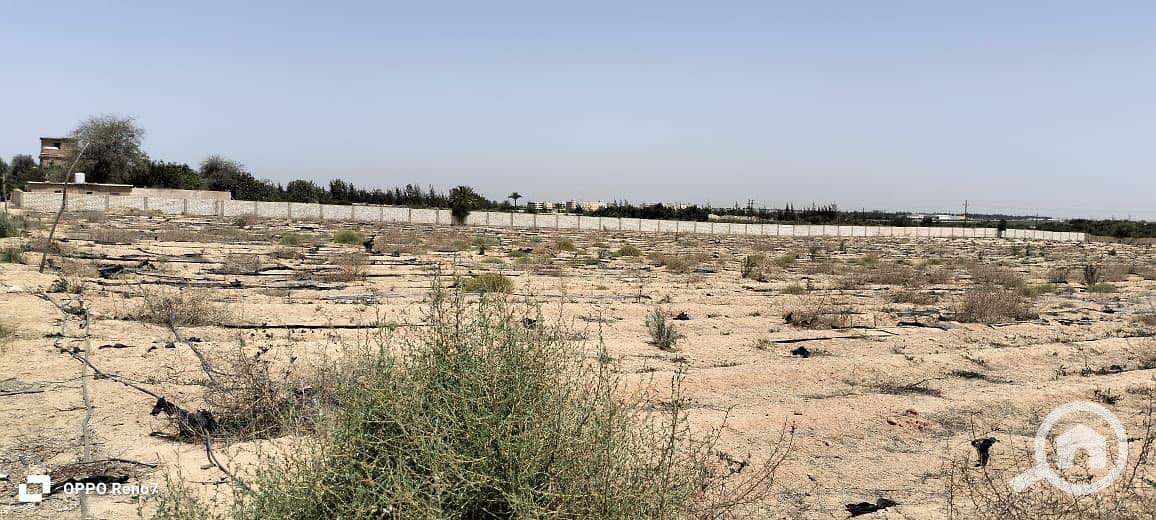 5 WhatsApp Image 2025-10-16 at 22.12. 06_706f0627. jpg