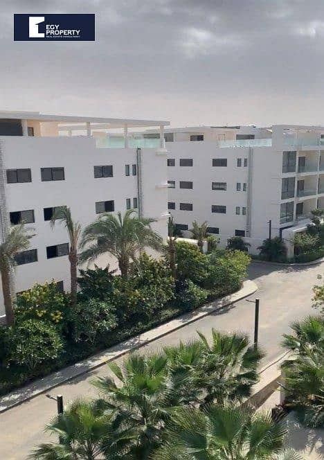 5 WhatsApp Image 2026-01-05 at 7.30. 02 AM (1). jpeg