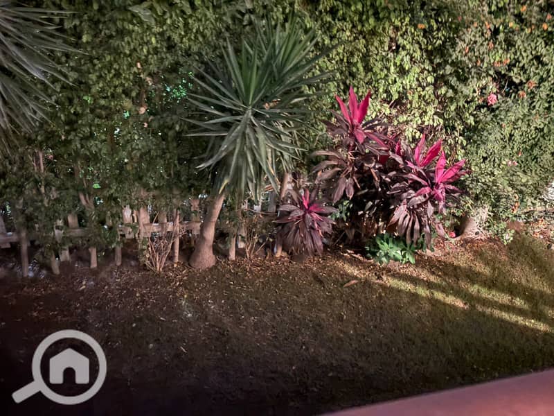 3 WhatsApp_Image_2026-01-06_at_2.56. 06_PM. jpeg