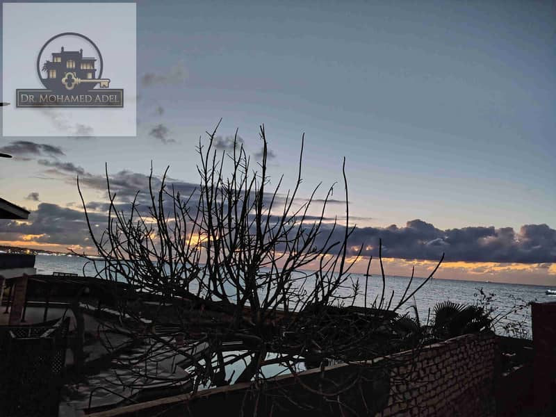 4 IMG_20251225_173653. jpg