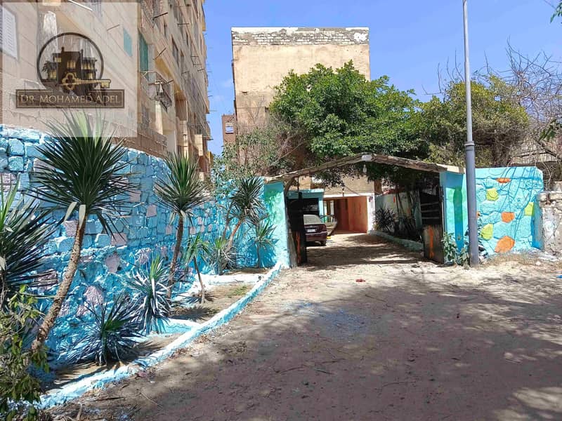 24 IMG_٢٠٢٤٠٥٠٩_١١١٤٤٨. jpg