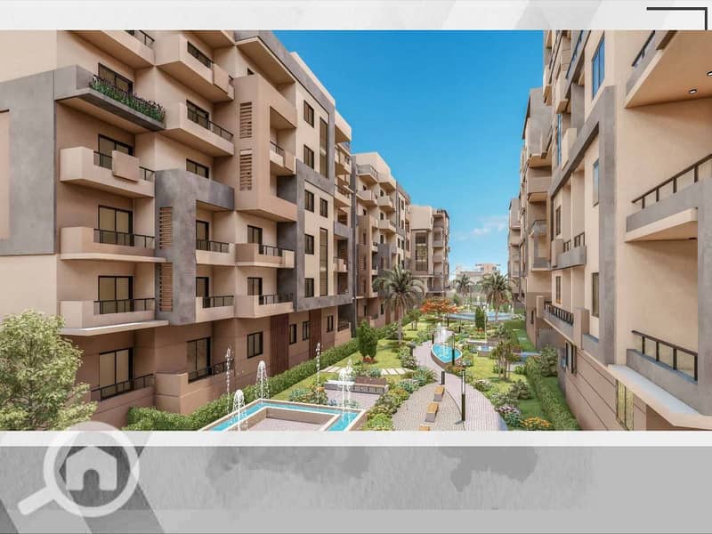 3 photo_3_2026-01-06_18-39-42. jpg