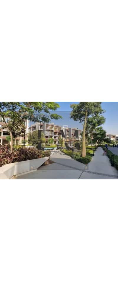 3 Bedroom Penthouse for Rent in New Cairo, Cairo - 8481324-c0395o. jpg