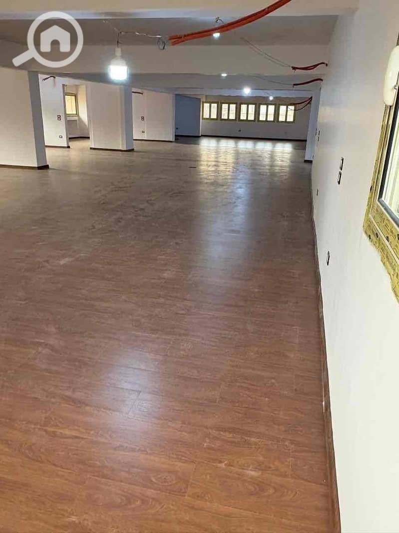 20 9a803c67-d7b1-464d-832b-cc4e069ce1a3. jpg