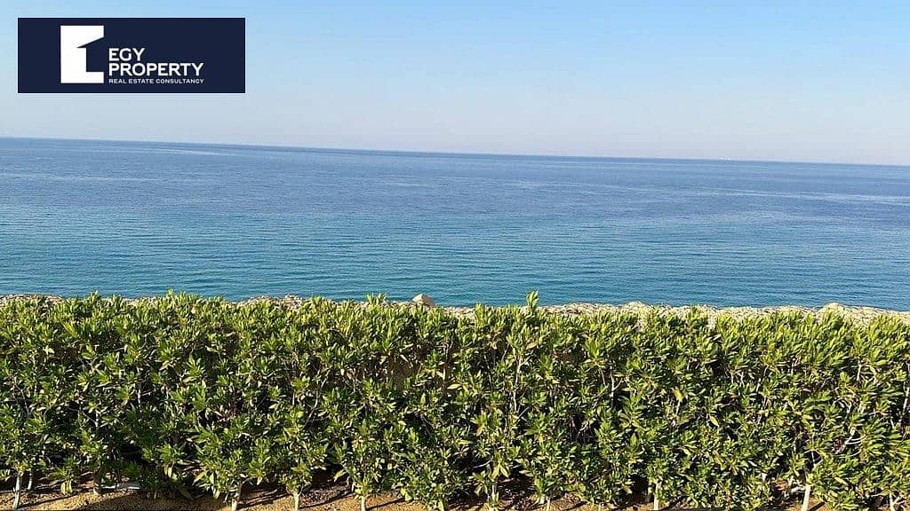 10 _files_WhatsApp Image 2025-09-23 at 16.25. 17_997d85b9. jpg