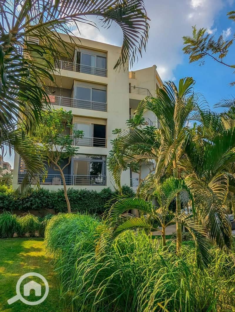 3 WhatsApp Image 2025-10-01 at 1.41. 16 AM. jpeg