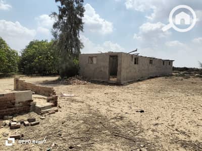 Agricultural for Sale in 6th of October, Giza - WhatsApp Image 2026-01-06 at 18.02. 04. jpeg