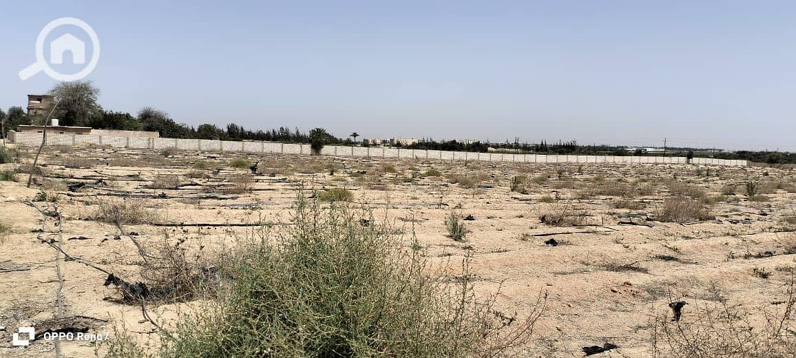 2 WhatsApp Image 2025-10-16 at 22.12. 06_706f0627. jpg