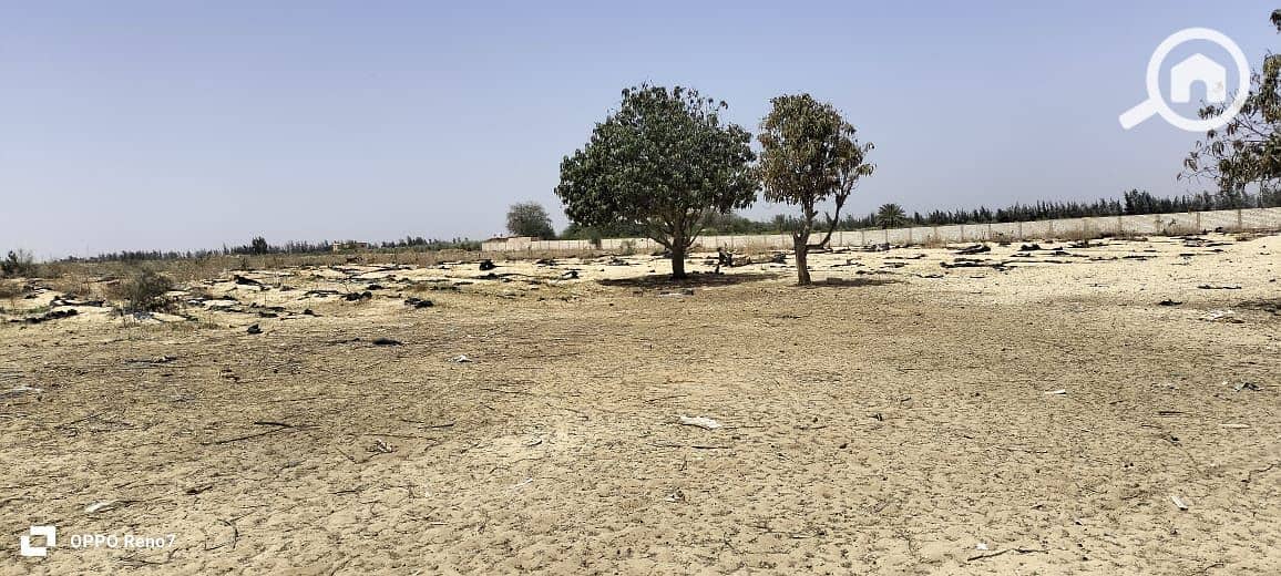 4 WhatsApp Image 2025-10-16 at 22.12. 09_f0ff7c05. jpg