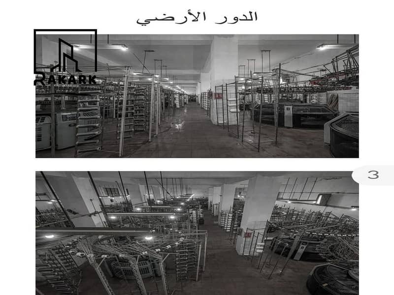 3 WhatsApp Image 2026-01-06 at 15.06. 29 (3) (Copy). jpeg