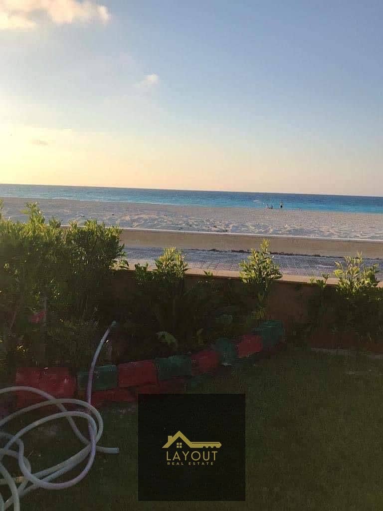 5 3850141a-7788-40b6-86bc-825340868f57. jpg