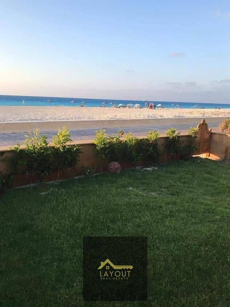 11 25754dea-1e6e-4640-8fd2-36a6d092fc02. jpg