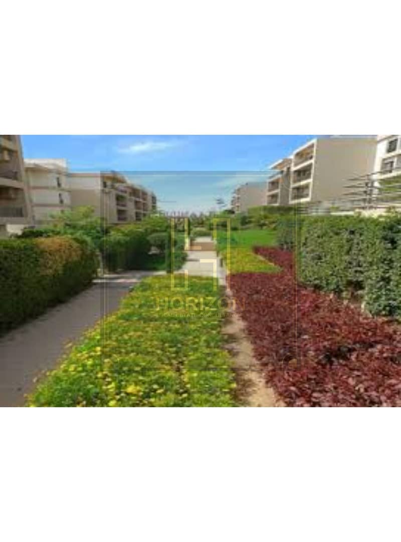 5 images (2). jfif. jpg