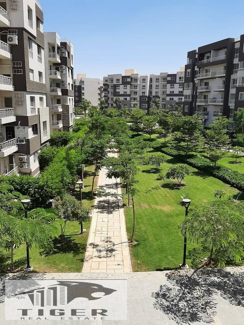 14 558687492_1115440594074882_8198666461140949463_n. jpg