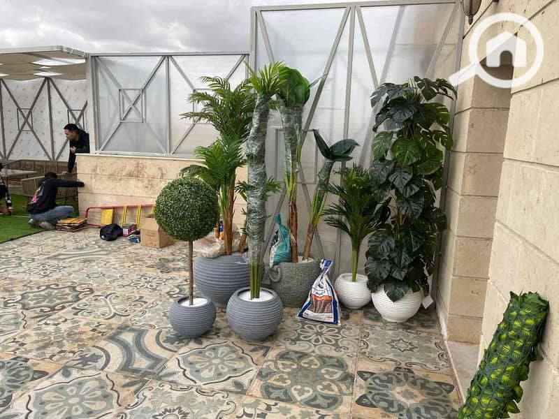 8 9e868d24-db22-4273-9241-c6ef66816307. jpg