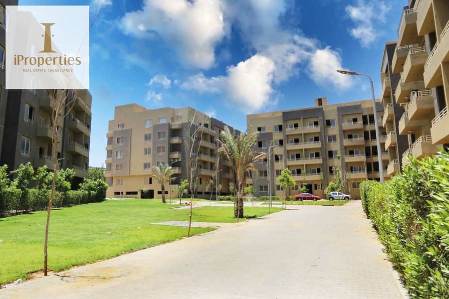 9 ead623d9-bc5a-490e-a0af-ae8e812987ea. jpg