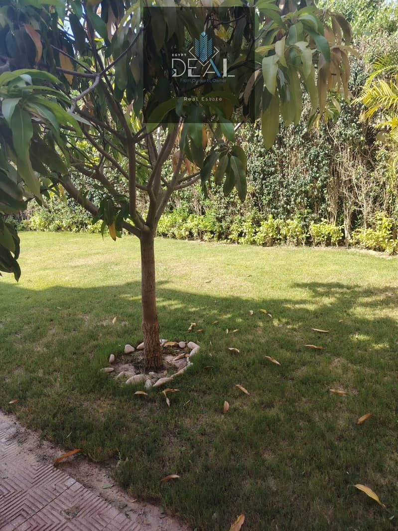 11 WhatsApp Image 2026-01-06 at 11.30. 07 PM (1). jpeg