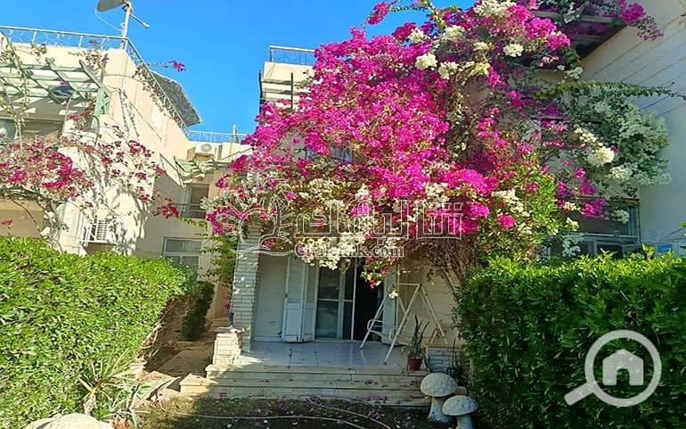 شاليه-للبيع-في-قرية-تيوليب-العين-السخنة-chalet-for-sale-tulipe-resort-ain-sokhna- (1). JPG شاليه-للبيع-في-قرية-تيوليب-العين-السخنة-chalet-for-sale-tulipe-resort-ain-sokhna- (1). JPG