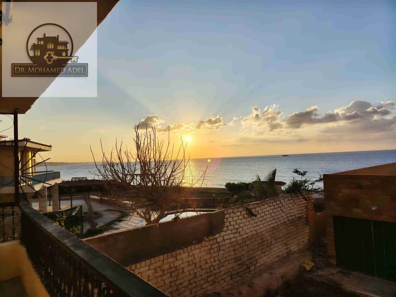 9 IMG_20251118_163717. jpg