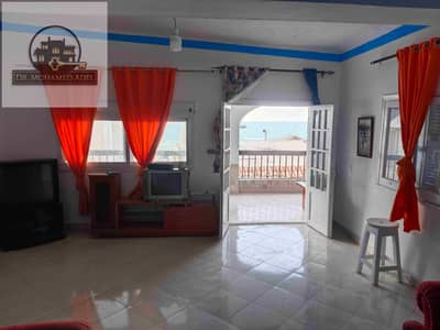 2 Bedroom Flat for Rent in Agami, Alexandria - IMG_20241218_155052. jpg