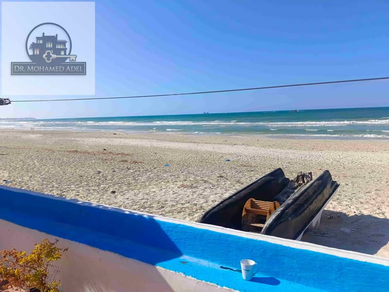 2 IMG_20241221_122036. jpg