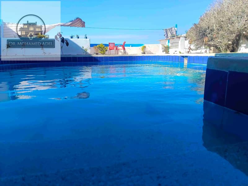 5 IMG_20241221_122515. jpg