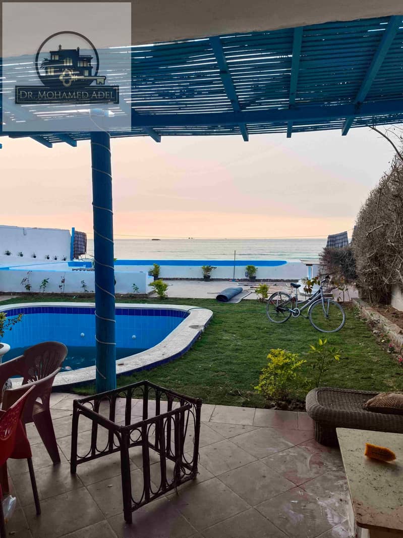 15 IMG_20241205_163547. jpg