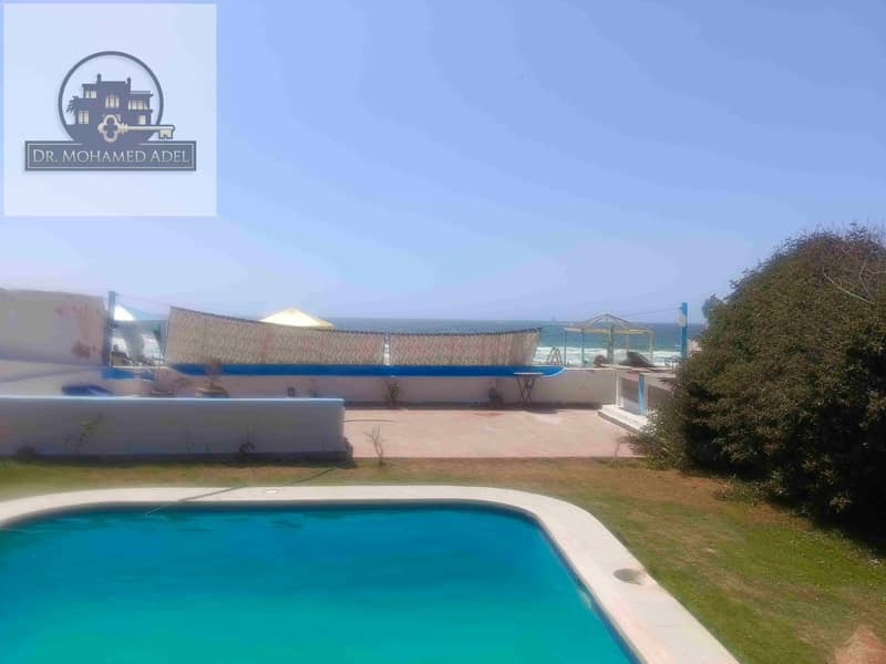 24 IMG_20250624_151754. jpg