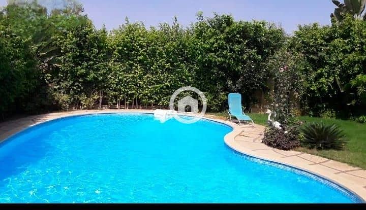 9 91759eb3-9f2c-4272-926a-1836a010297a. jpg