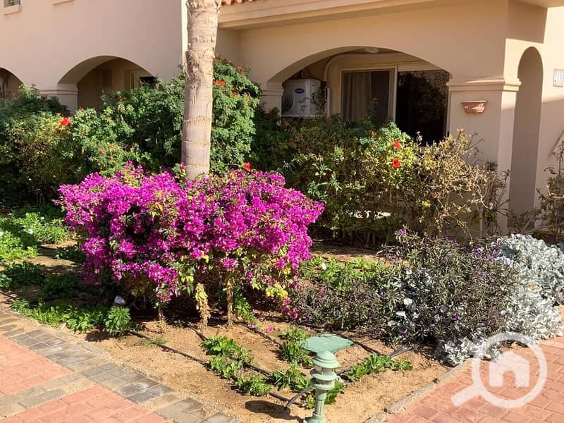 12 WhatsApp Image 2026-01-06 at 4.30. 40 PM. jpeg