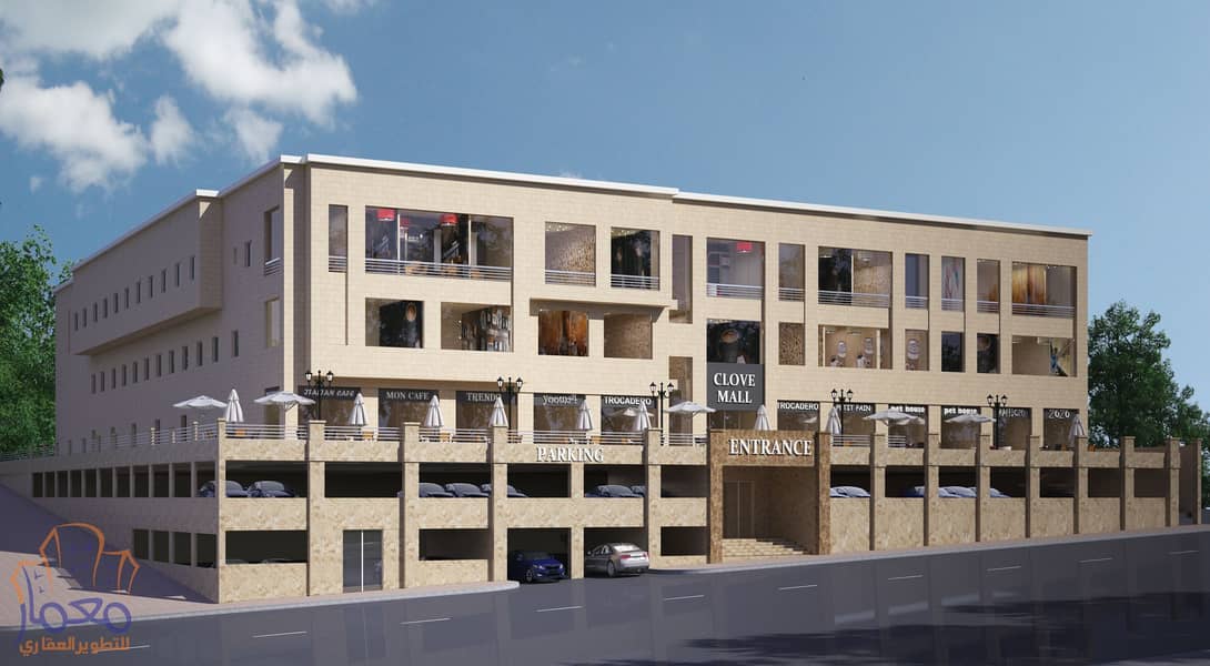 2 back ele-2020-01. jpg