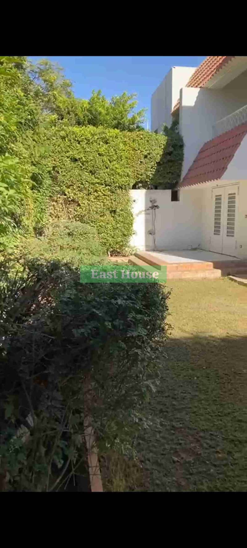 1000913874. jpg 1000913874. jpg