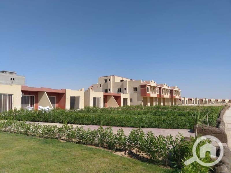 7 611530730_122238761408127705_7873634723343880975_n. jpg