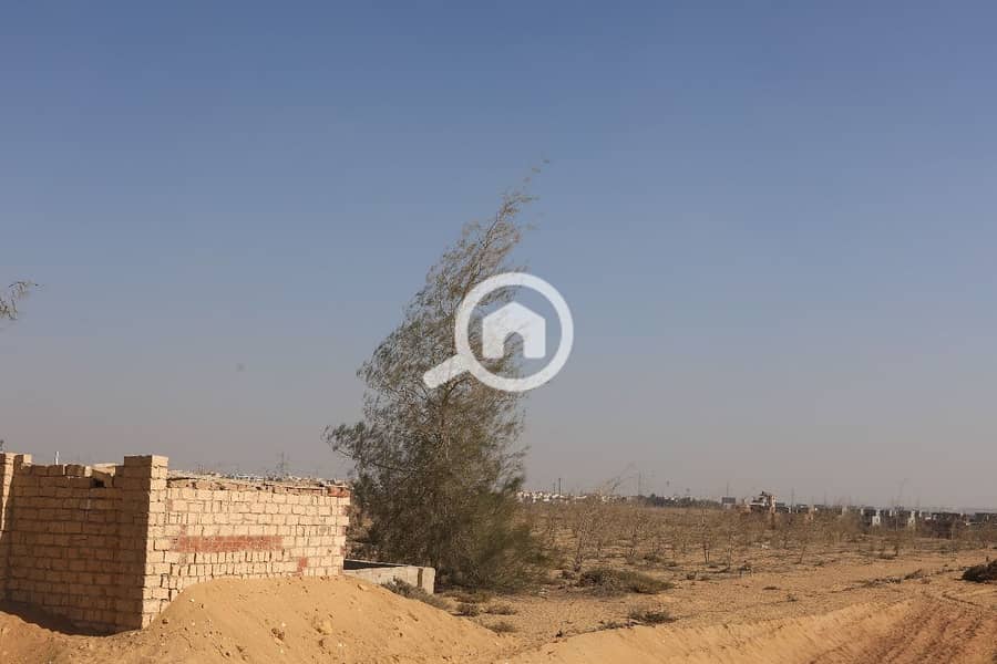 11 WhatsApp Image 2025-12-07 at 13.17. 11_1f8173b4. jpg