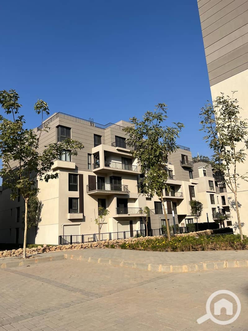 6 c88c186a-c774-408c-8497-0242304d40a0. jpg