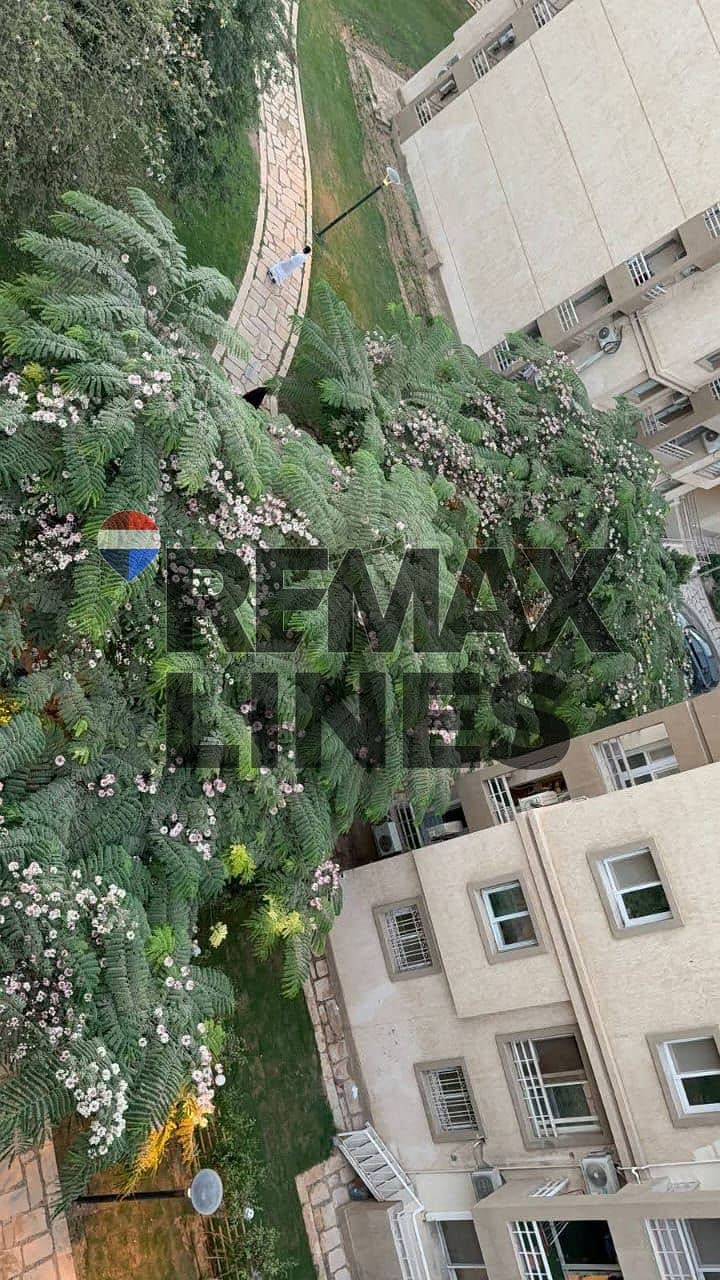 4 WhatsApp Image 2026-01-05 at 00.49. 47 (1). jpeg