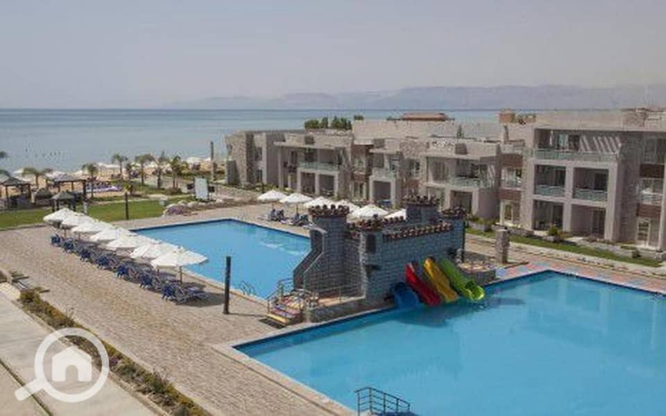 2 9dFu6YY6nzArIgUb. jpg