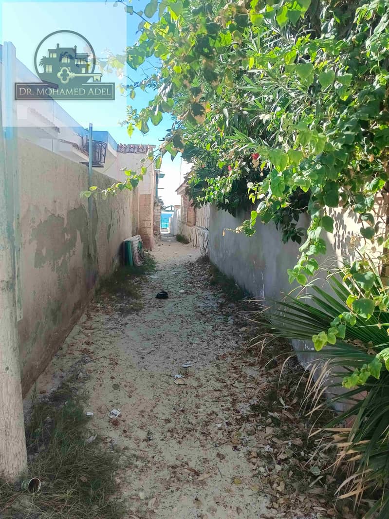 4 IMG_20251023_161107. jpg