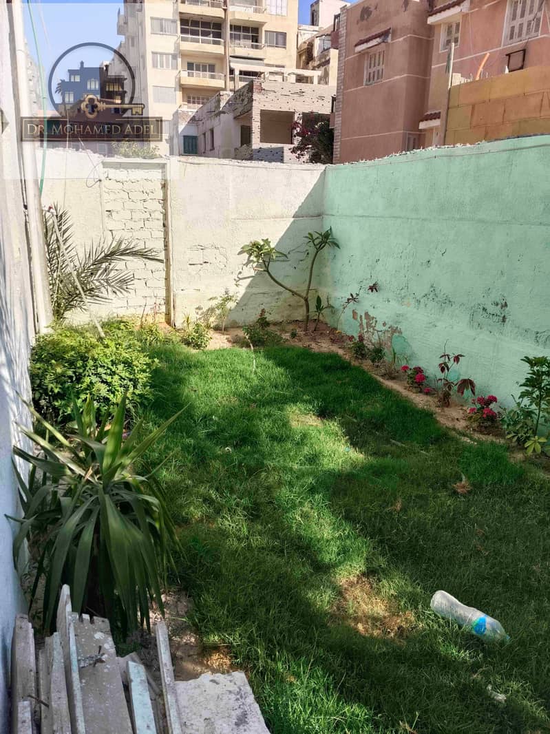 21 IMG_20250605_172727. jpg