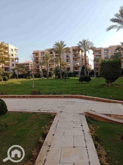 3 Bedroom Flat for Sale in New Cairo, Cairo - 1001023104. jpg