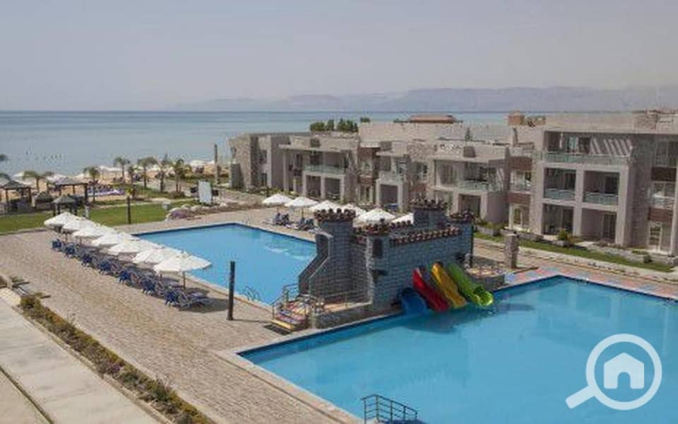 2 9dFu6YY6nzArIgUb. jpg