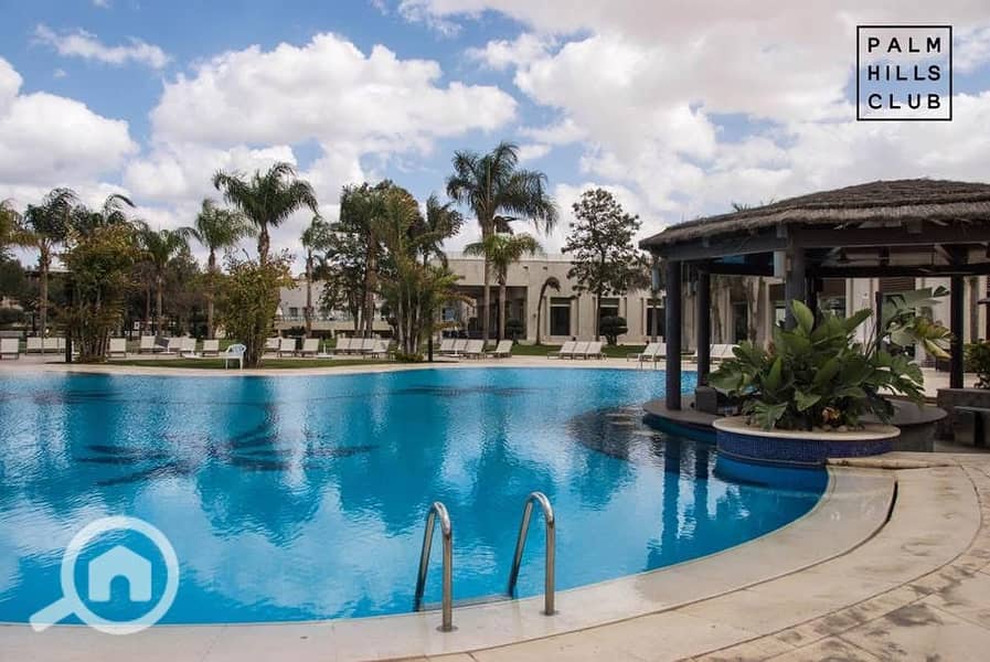 8 Palm Hills October 8. jpeg