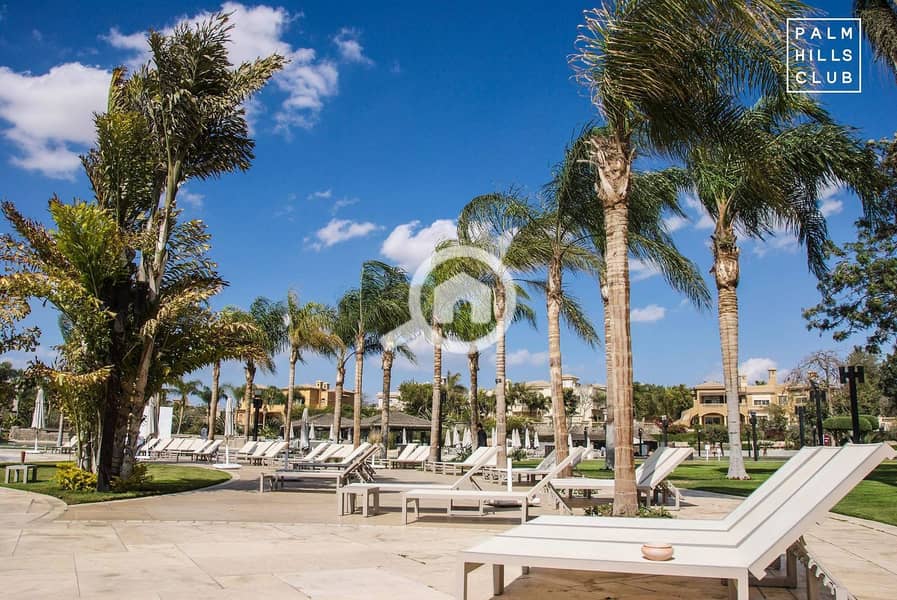 9 Palm Hills October 9. jpeg