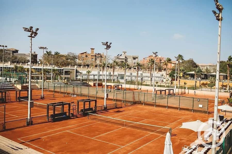 11 Palm Hills October 11. jpeg