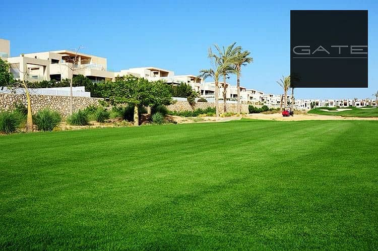 5 PHOTO-2025-08-05-10-41-34. jpg