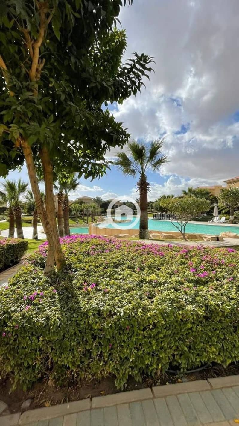 8 Stone Park Live Pics_page-0018. jpg