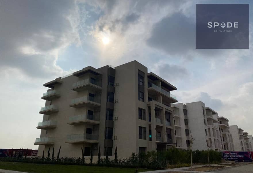 5 original (10). jpg