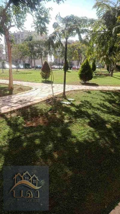 3 Bedroom Apartment for Rent in Madinaty, Cairo - 1000106637. jpg