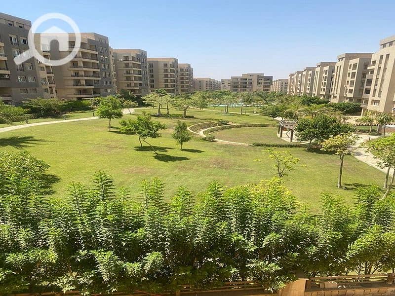 8 WhatsApp Image 2025-07-01 at 1.33. 50 PM. jpg